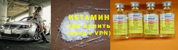 крисы Алексин