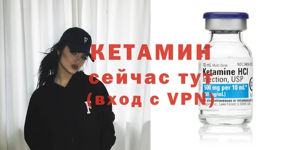 крисы Алексин