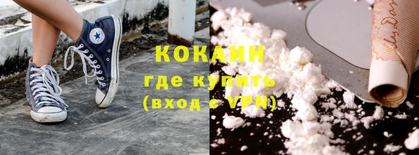 крисы Алексин
