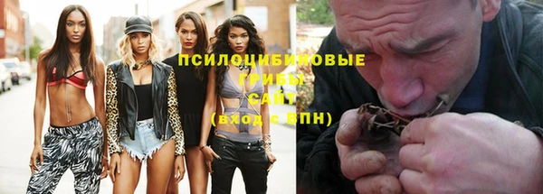крисы Алексин