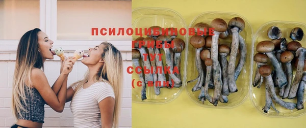 СК Алзамай