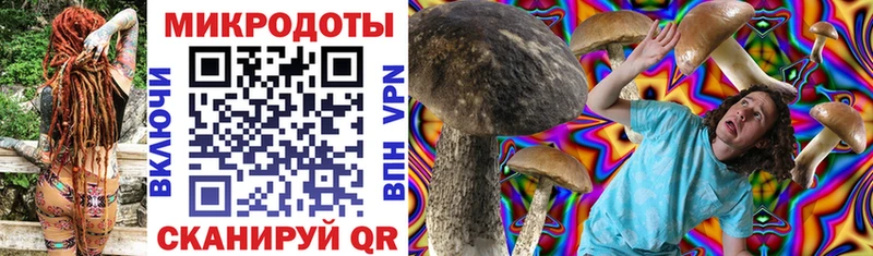 Галлюциногенные грибы Psilocybine cubensis  Анапа 